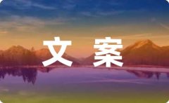 报名电线、让我们来看一看大师正在工做中的样